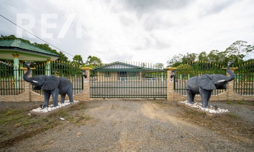3-slaapkamer appartement te koop in Saramacca, Paramaribo - foto 1